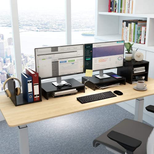 Monitor Stand - Monitor Stand Riser with 2 Tier Shelf, Desktop Organizer, Computer Monitor Stand for Screen, Laptop, Printer, Bookshelf for Home & Office